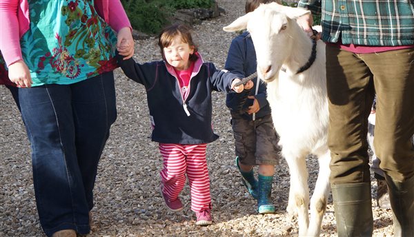 Take a goat for a walk